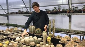 Мастер Георгий - немного о себе