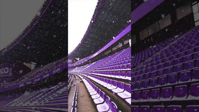 NIEVE EN EL ESTADIO JOSÉ ZORRILLA: ASÍ AMANECIÓ EL CAMPO DEL REAL VALLADOLID