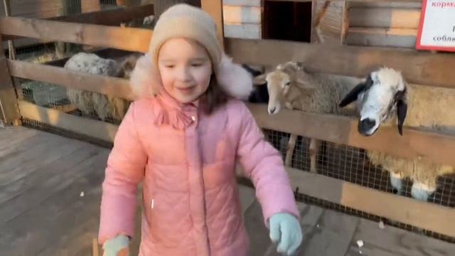 Султана в зоопарке. Кормим животных. Катаемся на пони. Олень из сказки про Деда Мороза. смотреть онлайн