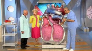 Внезапная смерть. Как ее остановить? Жить здорово! Фрагмент выпуска от 08.05.2015