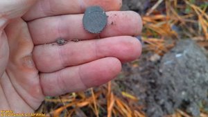 САМЫЙ ОБЫЧНЫЙ КОП В КРЫМУ