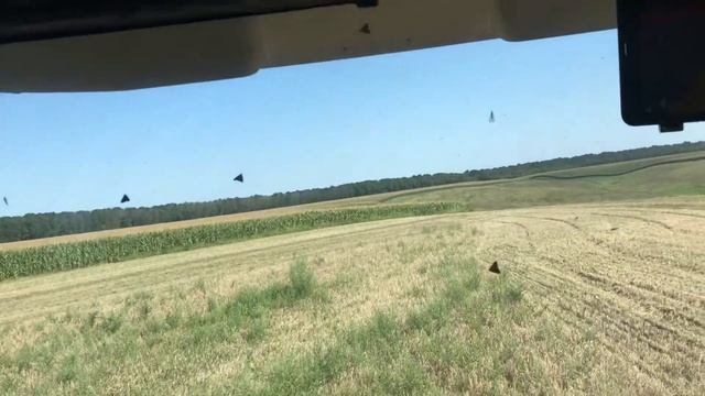 Какой ячмень в конце Августа? Доступное картирование урожайности