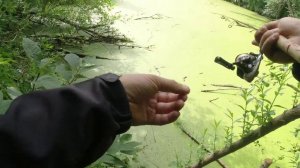 #178 Мормышинг на микро речке | Щучки, плотва |