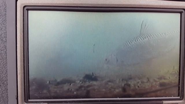 камера jj-connect underwater camera color deluxe .СОРОГА. смотреть онлайн