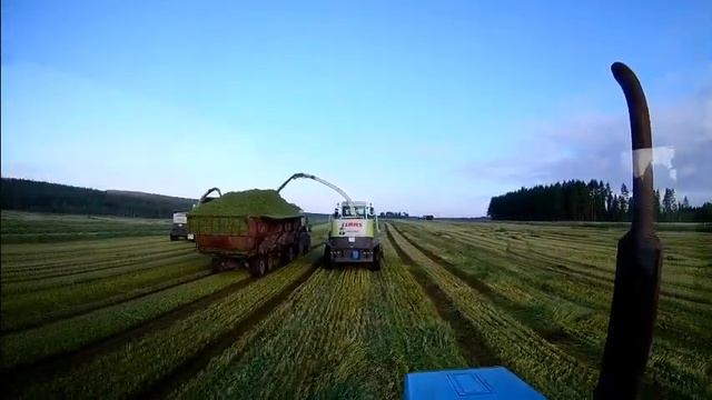 будни тракториста питер  уборка зерновых