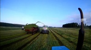 будни тракториста питер  уборка зерновых