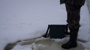 Подлёдная рыбалка. Ловля хариуса на таёжной реке Крайнего Севера Республики Коми