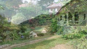 АРЕНДА НЕДВИЖИМОСТИ В ТАИЛАНДЕ. КАК Я НАШЛА И СНЯЛА НЕДОРОГОЕ ЖИЛЬЕ НА ПХУКЕТЕ