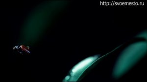 Король и Шут - Воспоминания о былой любви - HD Rev