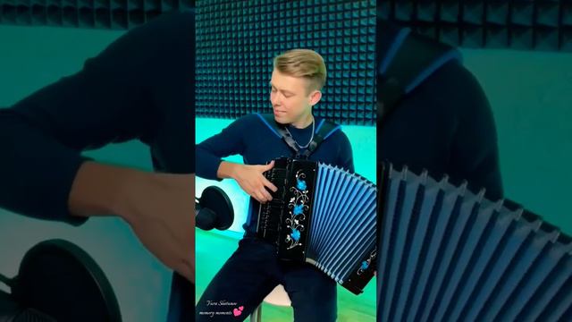 #юрийшатунов #music #белыерозы #ласковыймай #розовыйвечер #musicvideo #седаяночь #гармонь