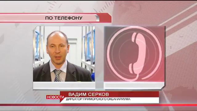 Вскрытие покажет смотреть онлайн
