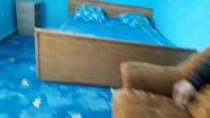 Влог,как мы съездили в село плешаново!На соревнования по волейболу