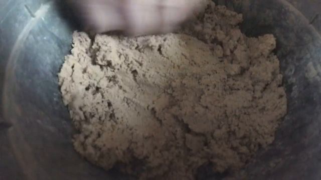 Стратификация семян яблок и косточек алычи смотреть онлайн