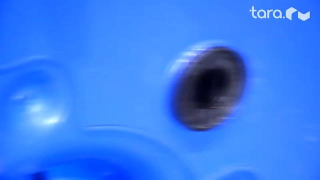 Мусорный контейнер для ТКО российского производства смотреть онлайн