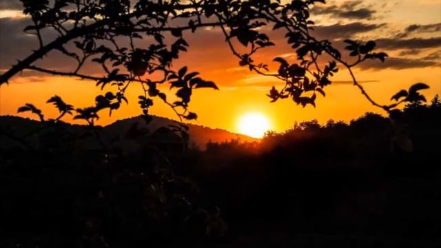 ОХОТА НА ВОЛКОВ в опалённых горах смотреть онлайн