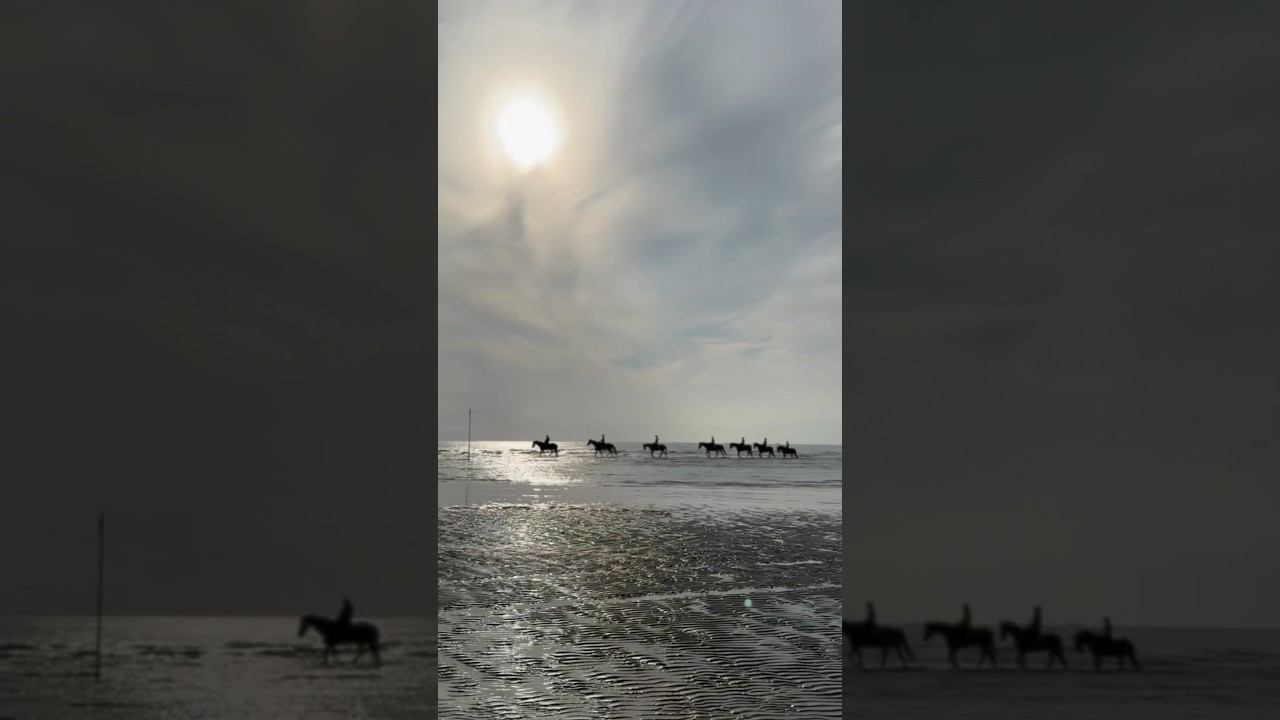 Оцените в комментариях тренировку от 1 до 10 смотреть онлайн