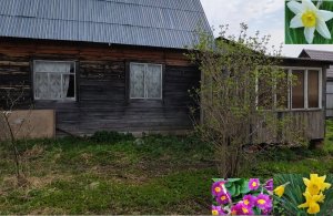 Купили дачный участок с сюрпризом, майские цветы в деревне.