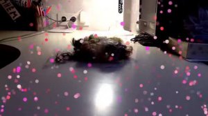 Что будет если засосать в пылесос волосы?