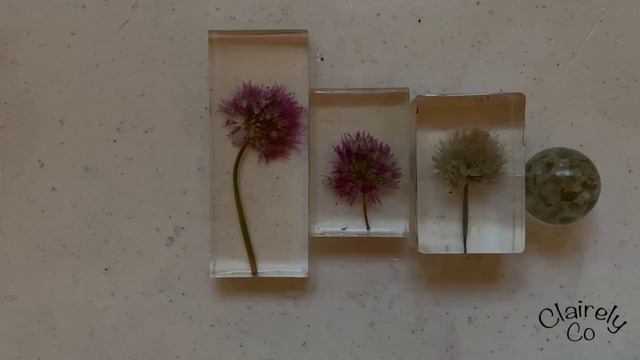 Fresh vs Dried Flowers смотреть онлайн