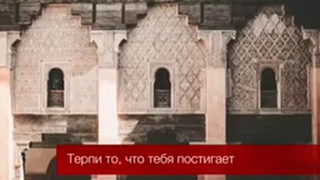 Истори про Къаруна . Проповедь Надыра Абу Халида смотреть онлайн