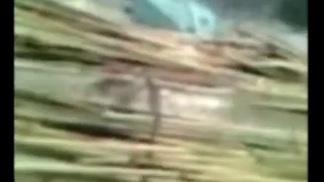 Утиное гнездо-как сделать смотреть онлайн