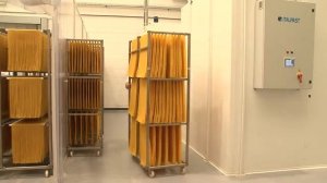 Производство Спагетти Без Глютена\Production of Gluten-Free Spaghetti