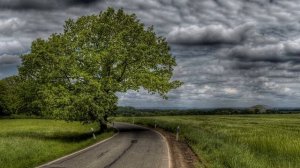 Волшебная композиция  Поль Мориа   История любви  Красивая музыка для души