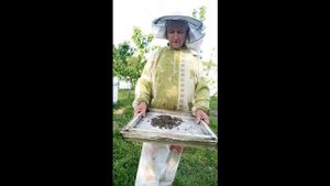 Пчелиный подмор при аденоме простаты.