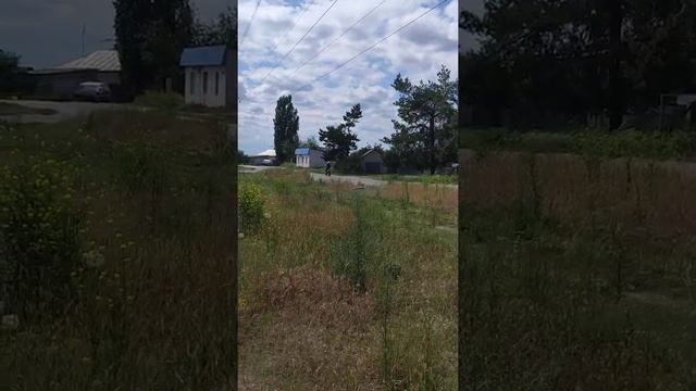 Проезд Suzuki rmz 250 смотреть онлайн