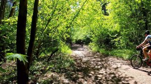 Самовар ПВД #2