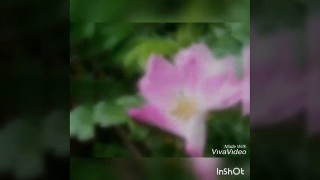 Чудеса бывают непременно Стихи со смыслом Rita Matuchina