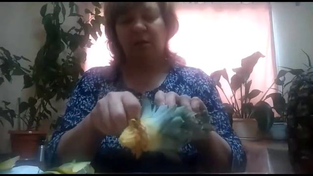 как не нужно делать/укоренение ананаса/мой первый опыт и неудача смотреть онлайн