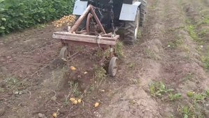 Уборка Картофеля Самодельним Трактором 4х4.Самодельной Картофелекопалкой