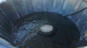 Купель своими руками и не дорого.