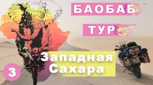 Баобаб тур. Западная Сахара. Мое большое путешествие на мотоцикле по Африке #3