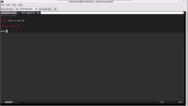 Docker Entrypoint, Setting Up And Tearing Down Containers