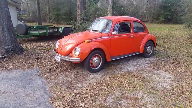 So you want to buy a volkswagen beetle смотреть онлайн