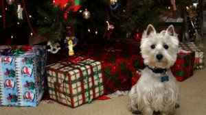 Офигенные новогодние клипы . Рекомендую!