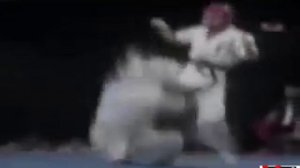 КУДО реальнее только жизнь