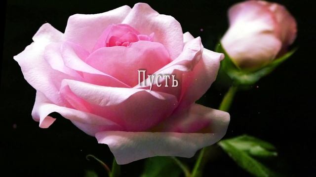 ?? Поздравляю тебя с  Днем Рождения ! ?? Самое красивое поздравление