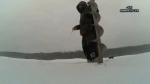 Зимняя блесна "Парамонка - 35 мм". Ловля окуня в коряжнике.