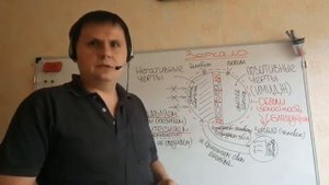 7. Зеркало в психологии