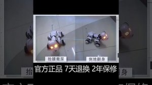 Собака-робот