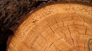 Кувырок Земли начинается. Найдены доказательства смены полюсов.