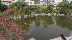 VLOG: Летим в Китай 2020 Хайнань| Полет Москва Санья | Обзор номера| Территория отеля Cactus resort