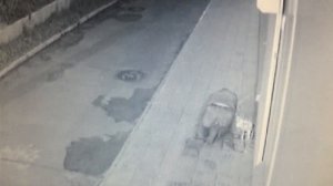 Прикол. Пьяный мужик упал пока ссал.