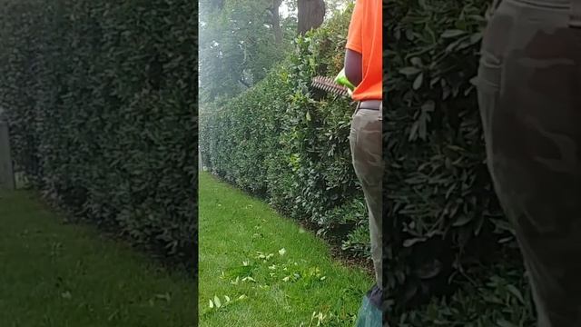 Do You Even Hedge Trim? #lawncare #greenworks