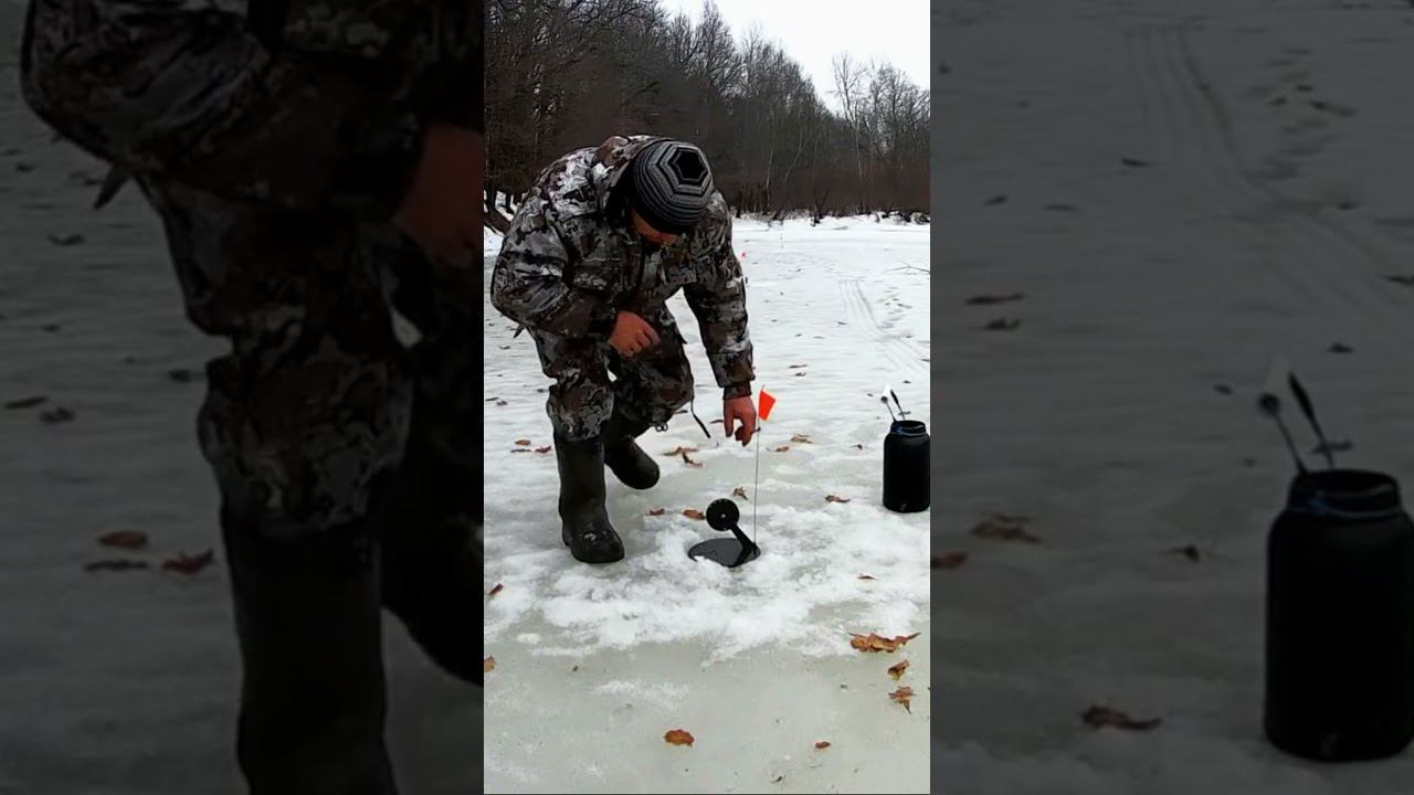 НЕ ОЖИДАЛ ТАКОГО, КОГДА ПРИШЁЛ ПРОВЕРЯТЬ ЖЕРЛИЦЫ #Shorts смотреть онлайн