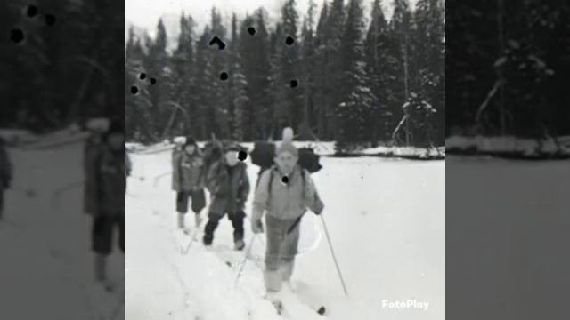 Перевал Дятлова. Правильные решения. смотреть онлайн