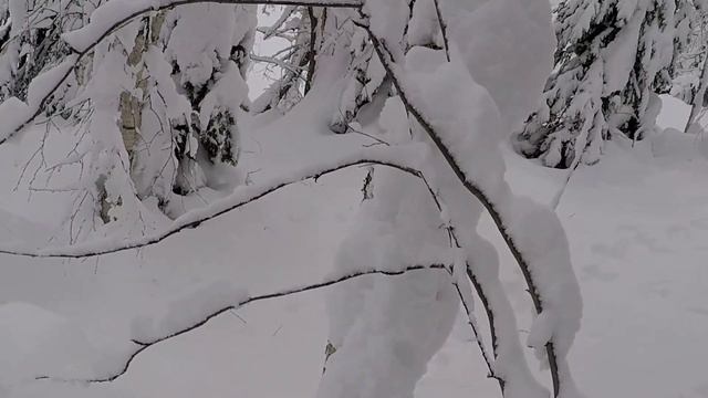 ?УСТАНОВКА ПЕТЛИ НА ЗАЙЦА.В ДЕКАБРЕ НА ТРОПУ. смотреть онлайн